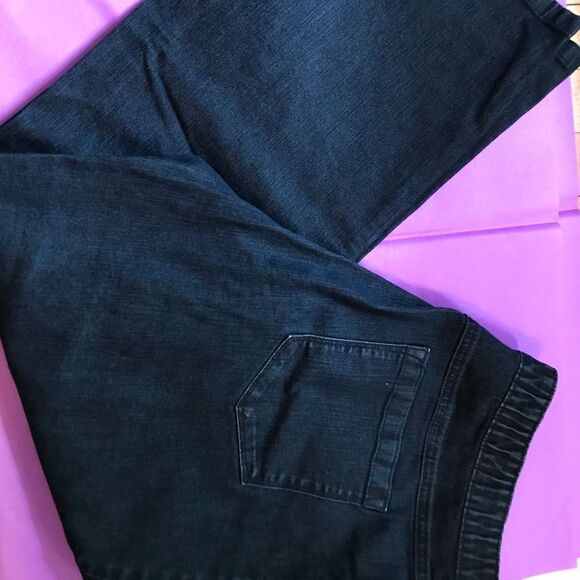LL Bean Indigo Classic Fit Pull-on Jeans size 18 Petite - Picture 1 of 7